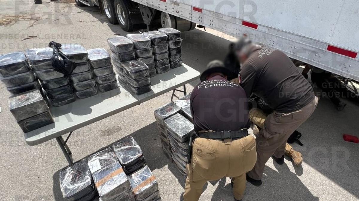 Golpe al narco: aseguran 916 kilos de metanfetamina ocultos en jícamas