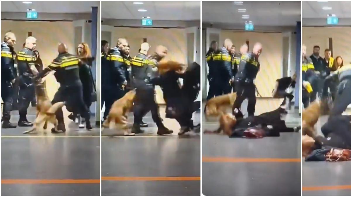 La policía neerlandesa investiga una agresión a una mujer embarazada en un centro de acogida