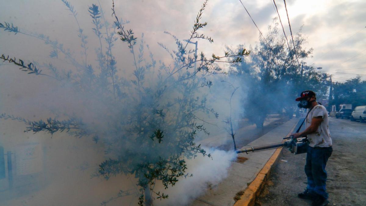 Suman 4 muertes por dengue y más de dos mil casos en 26 entidades del país