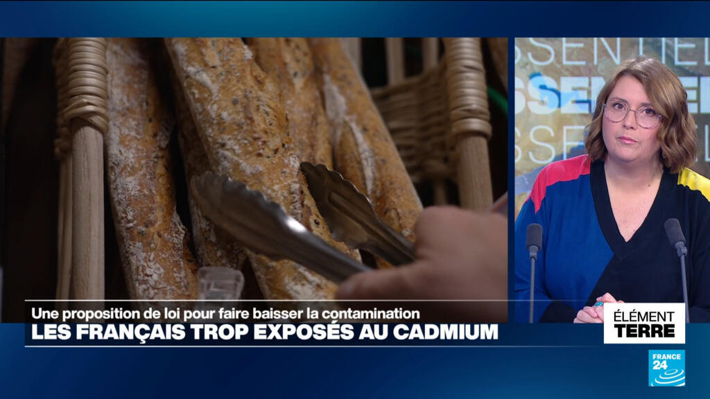 Une proposition de loi pour limiter l'exposition des Français au cadmium