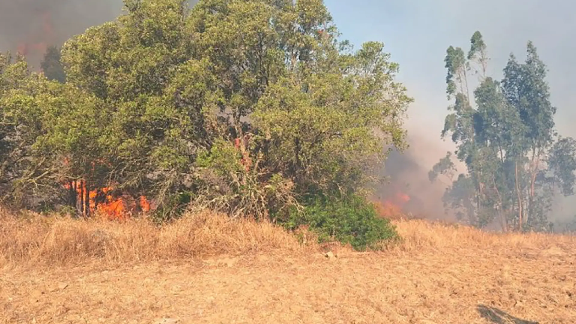 Elevan a 17 los medios aéreos para la extinción del incendio en un área de mil hectáreas en Alosno
