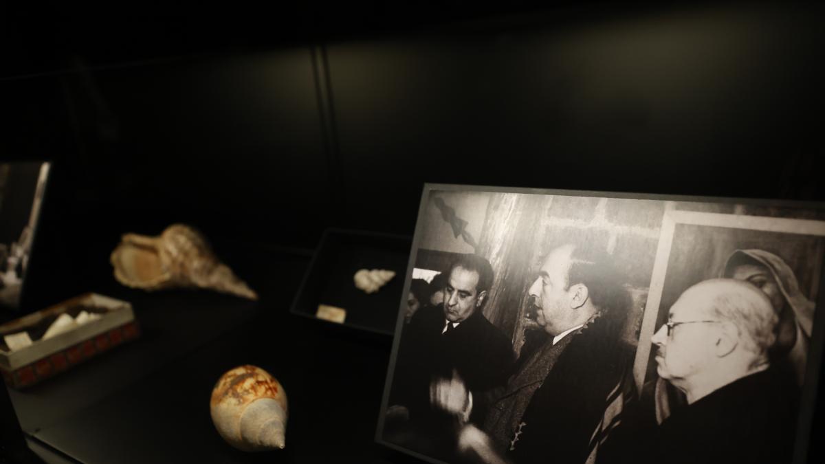 Las caracolas de Pablo Neruda: reabren la exposición de este tesoro biológico