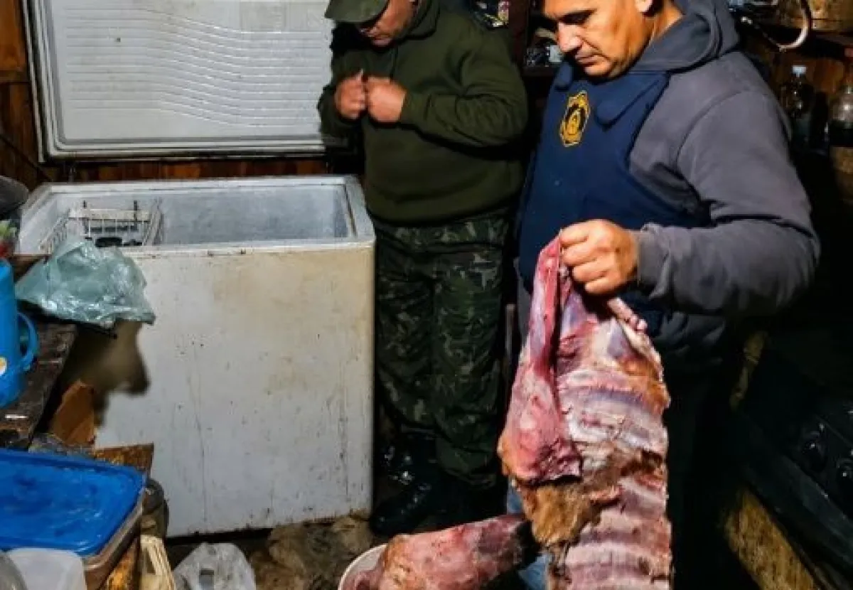 Allanaron una vivienda en Virasoro y encontraron carne, armas y elementos de faena
