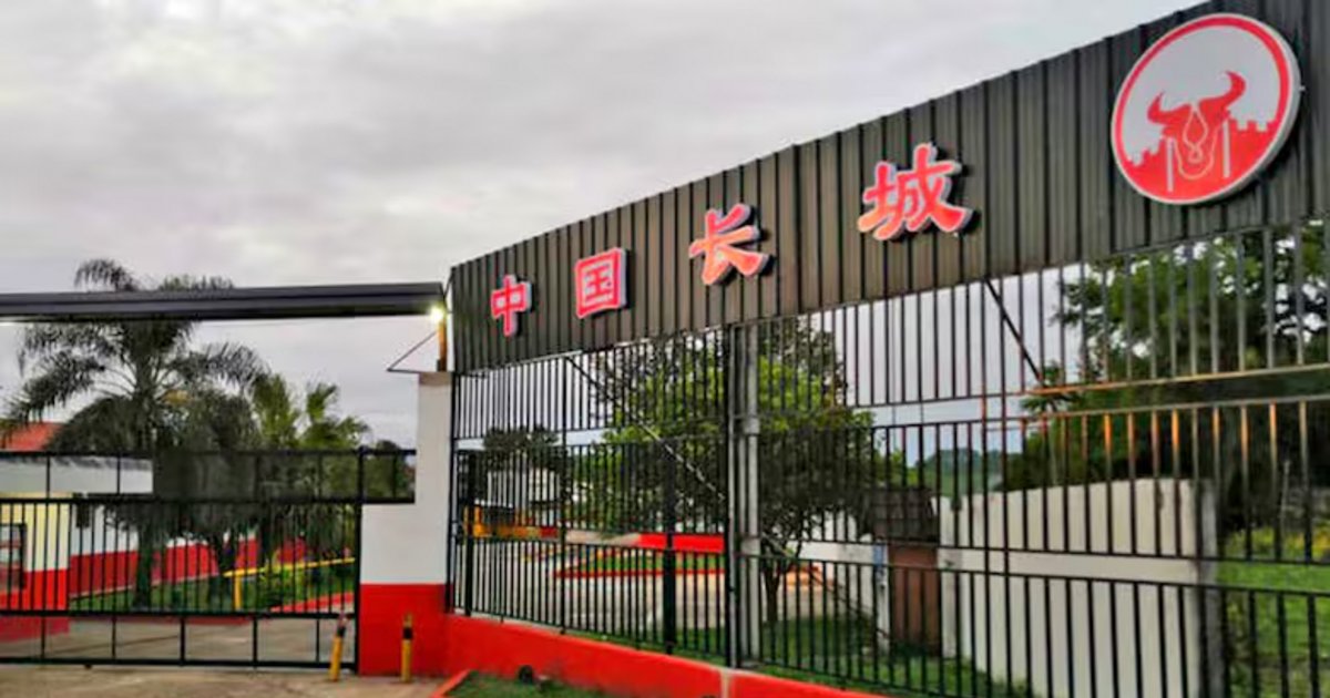 Corrientes: rematan el frigorífico Muralla China por 5 millones de dólares