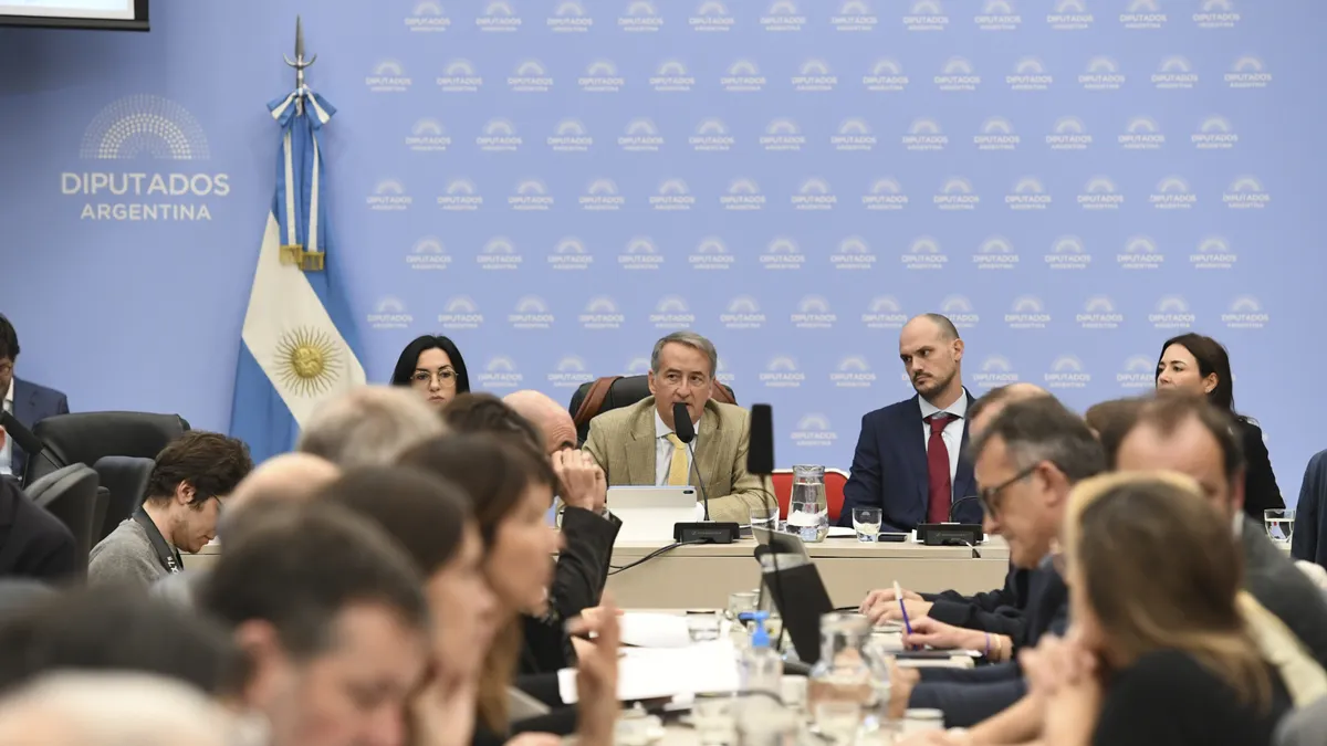 Distintas organizaciones de la sociedad civil en alerta por el proyecto de ley de Lobby