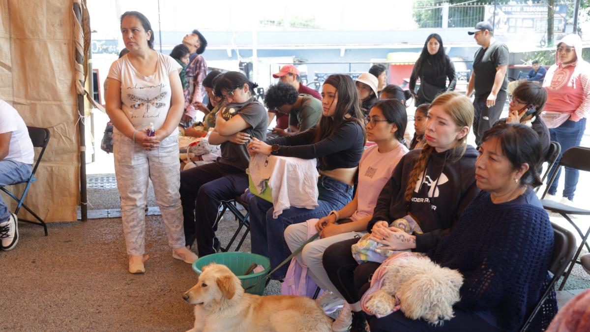 ¡Cuidado! Gusano barrenador llega a 10 alcaldías de la CDMX; hay 18 casos
