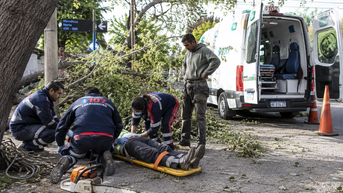Impactante accidente laboral: cortó una rama, cayó sobre su compañero y lo dejó grave
