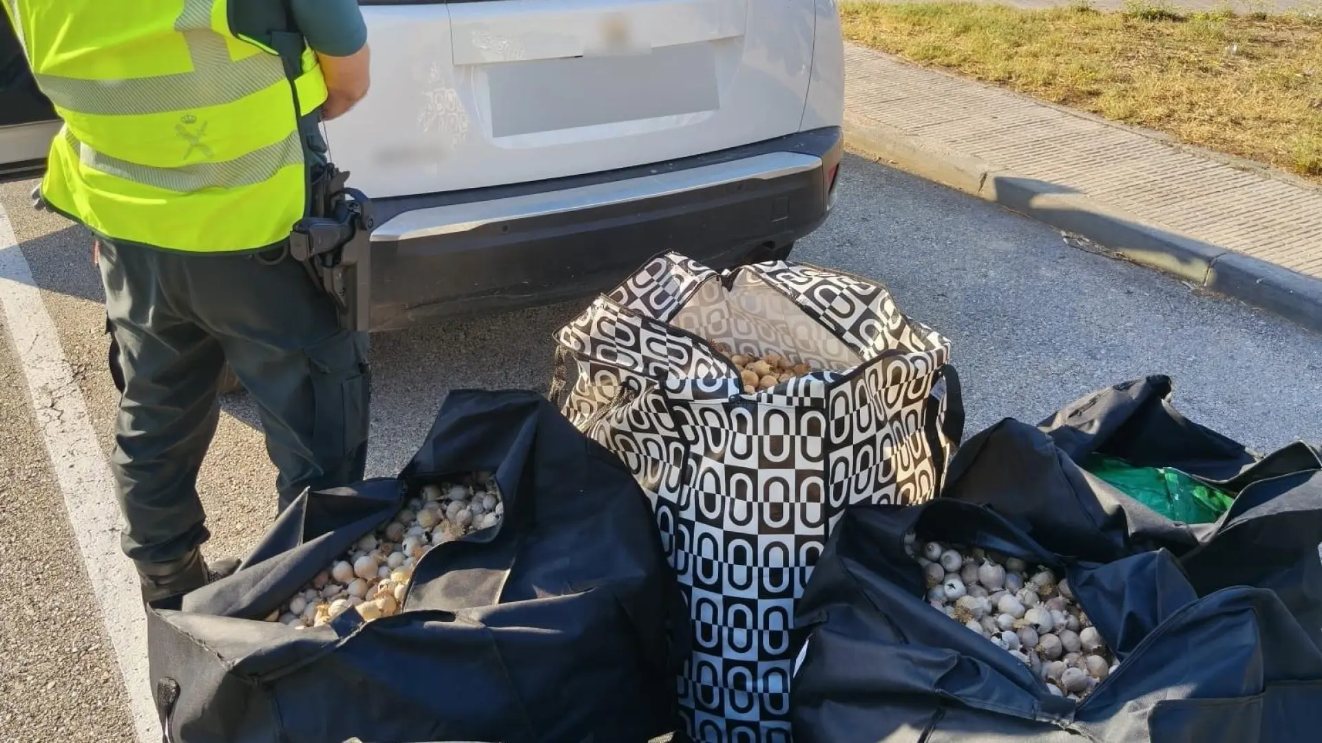 Detenidos cuatro hombres por transportar casi 100 kilos de opio en un municipio de Tarragona