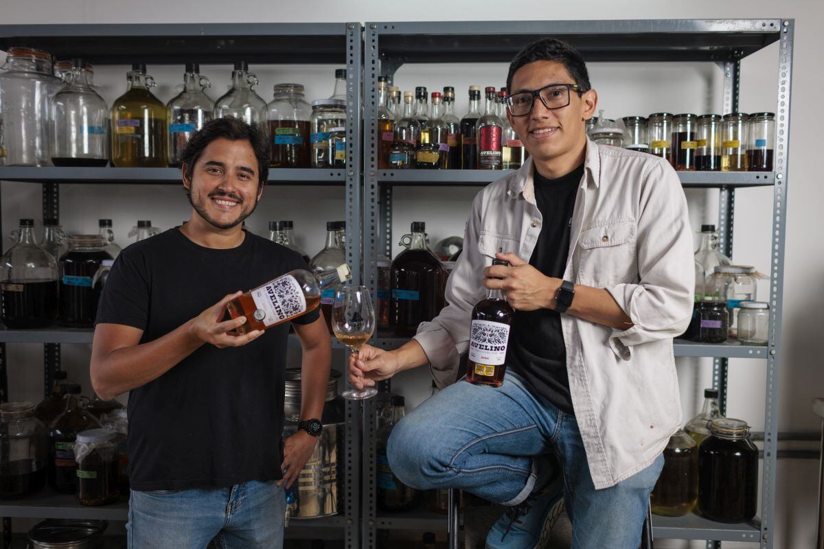Avelino, el vermouth peruano que fue premiado como el mejor del mundo y hoy desafía los hábitos de consumo en el país de la cerveza