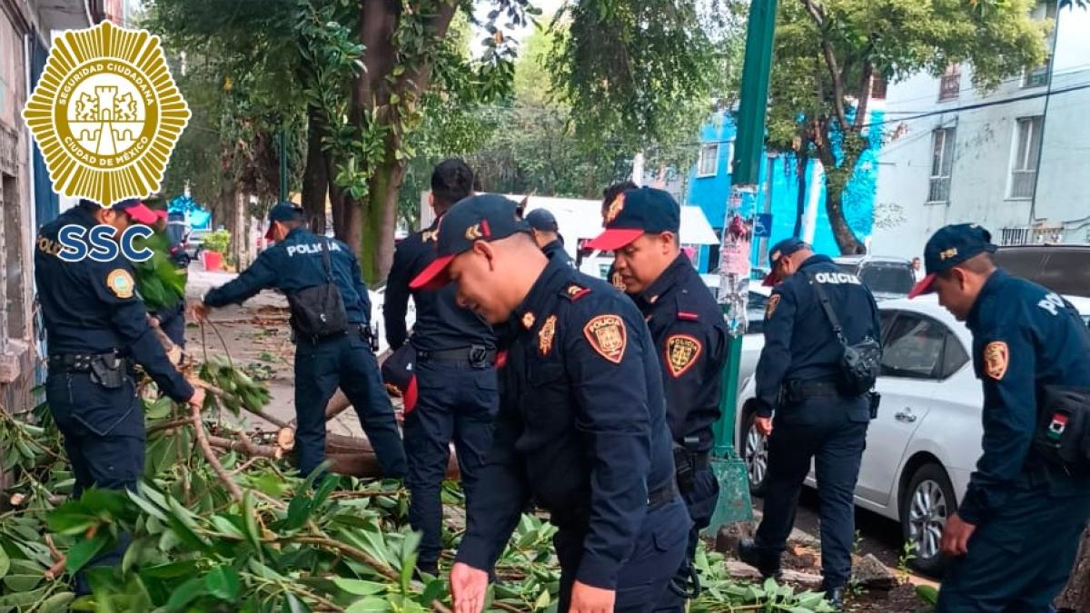 Caída de rama bloquea acceso a escuela para menores con discapacidad
