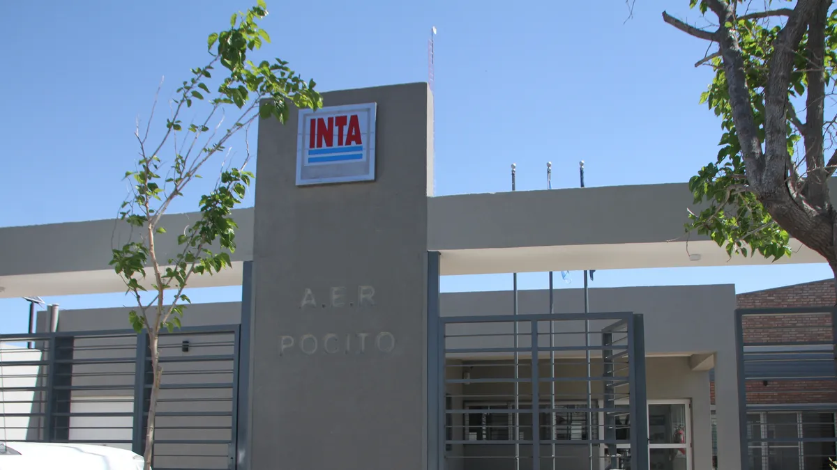 INTA San Juan tras perder 13 trabajadores: "No tenemos claro cuánto tiempo más se puede sostener esta situación. Es difícil trabajar así"
