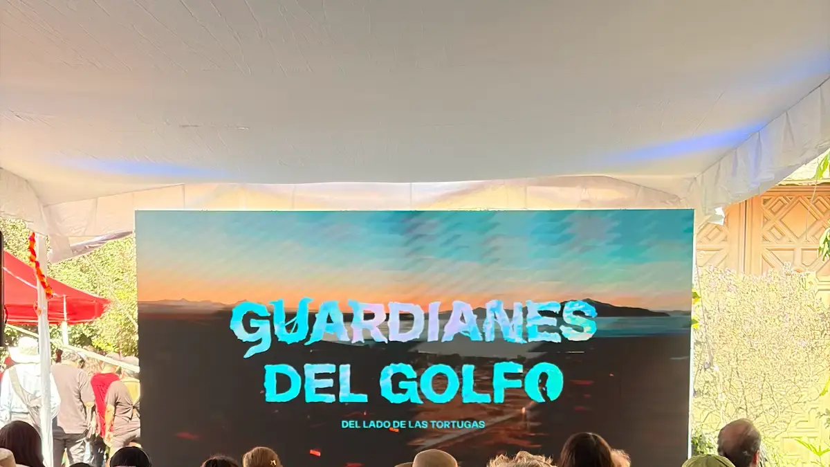 ONG´s y comunidades exigen a Semarnat declarar hábitat crítico al Golfo de California