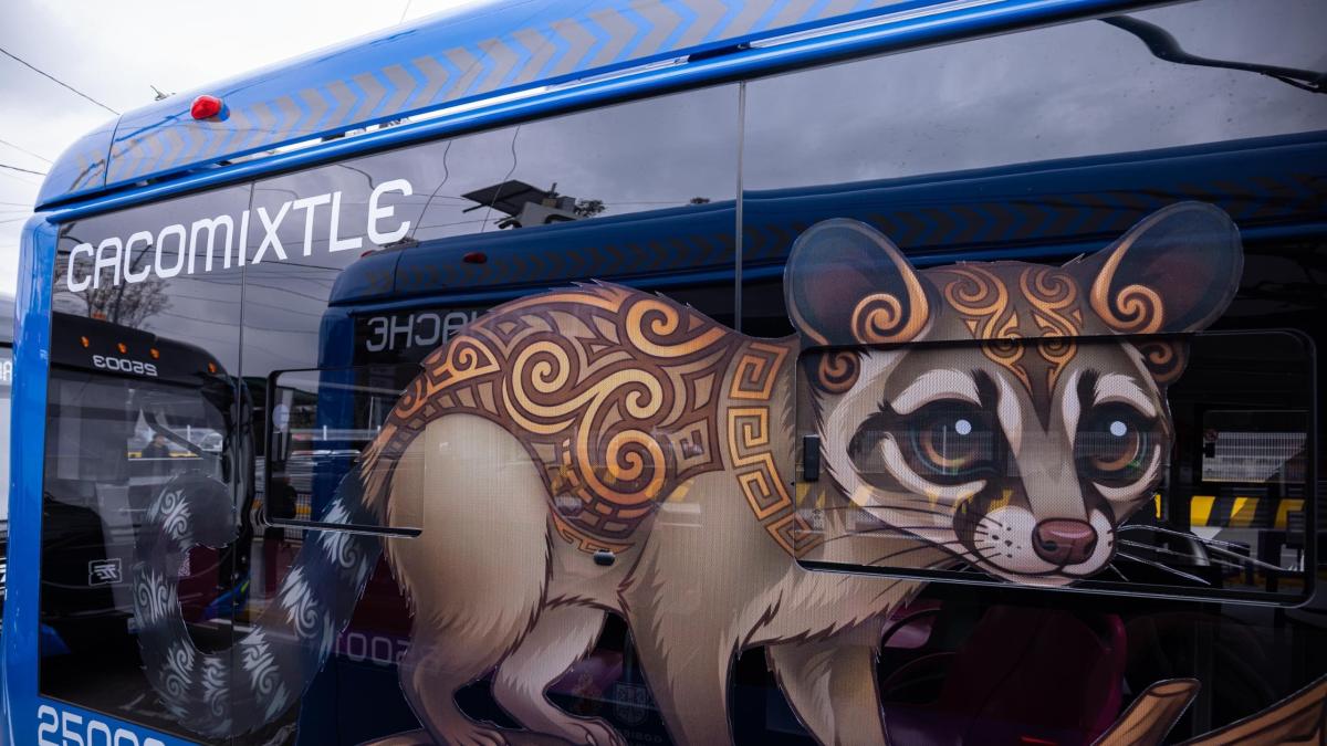 ¿Cuál es la ruta y tiempo de recorrido del trolebús Animales Silvestres?