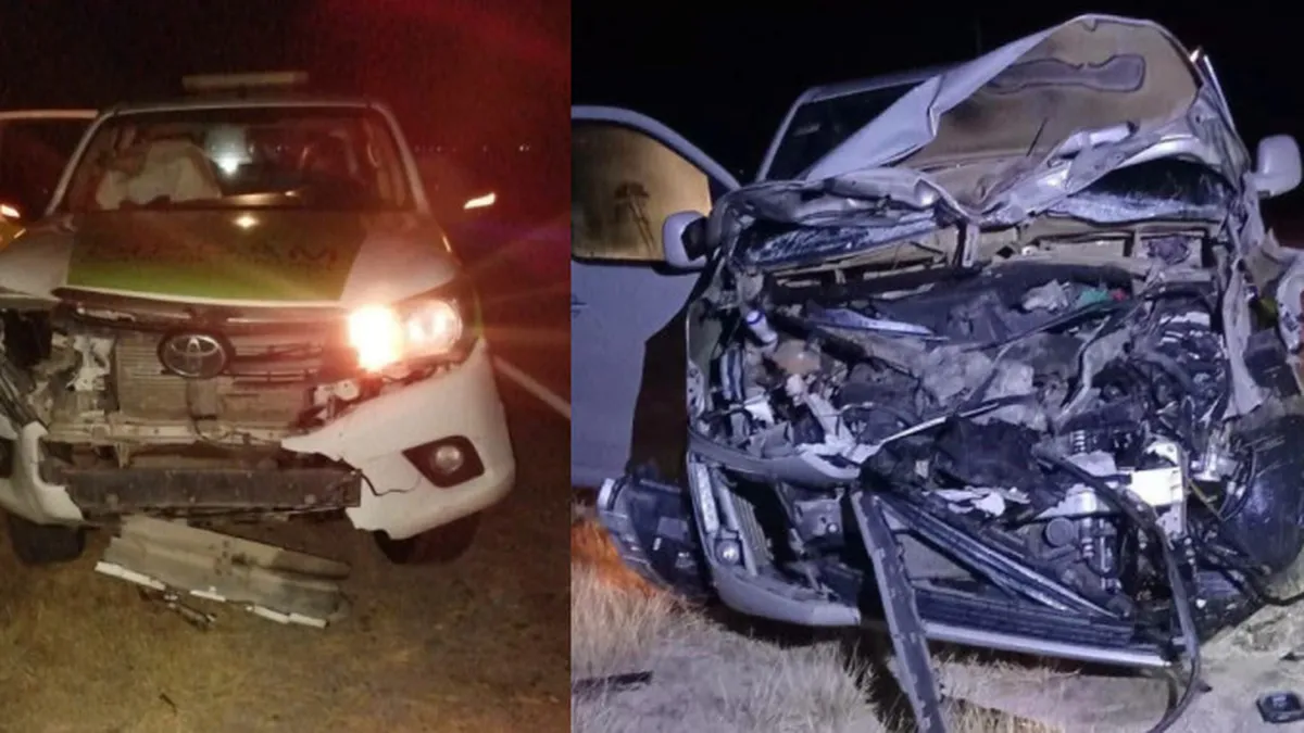 Dos accidentes de tránsito por presencia de ganado en la calzada