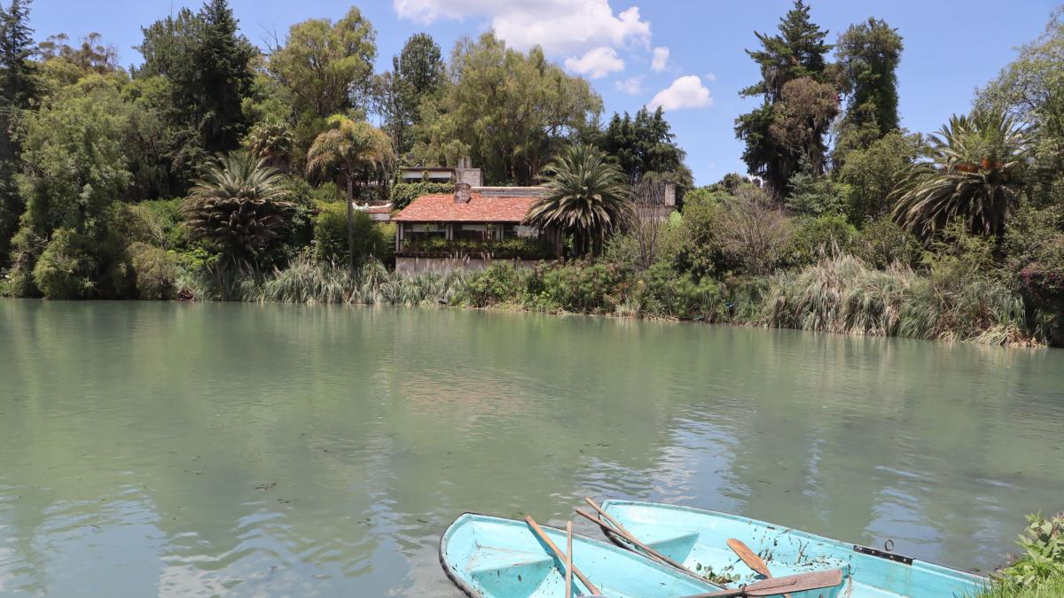 Rescatan la Presa Azul en Pueblo Mágico de Hidalgo; eliminan plaga acuática