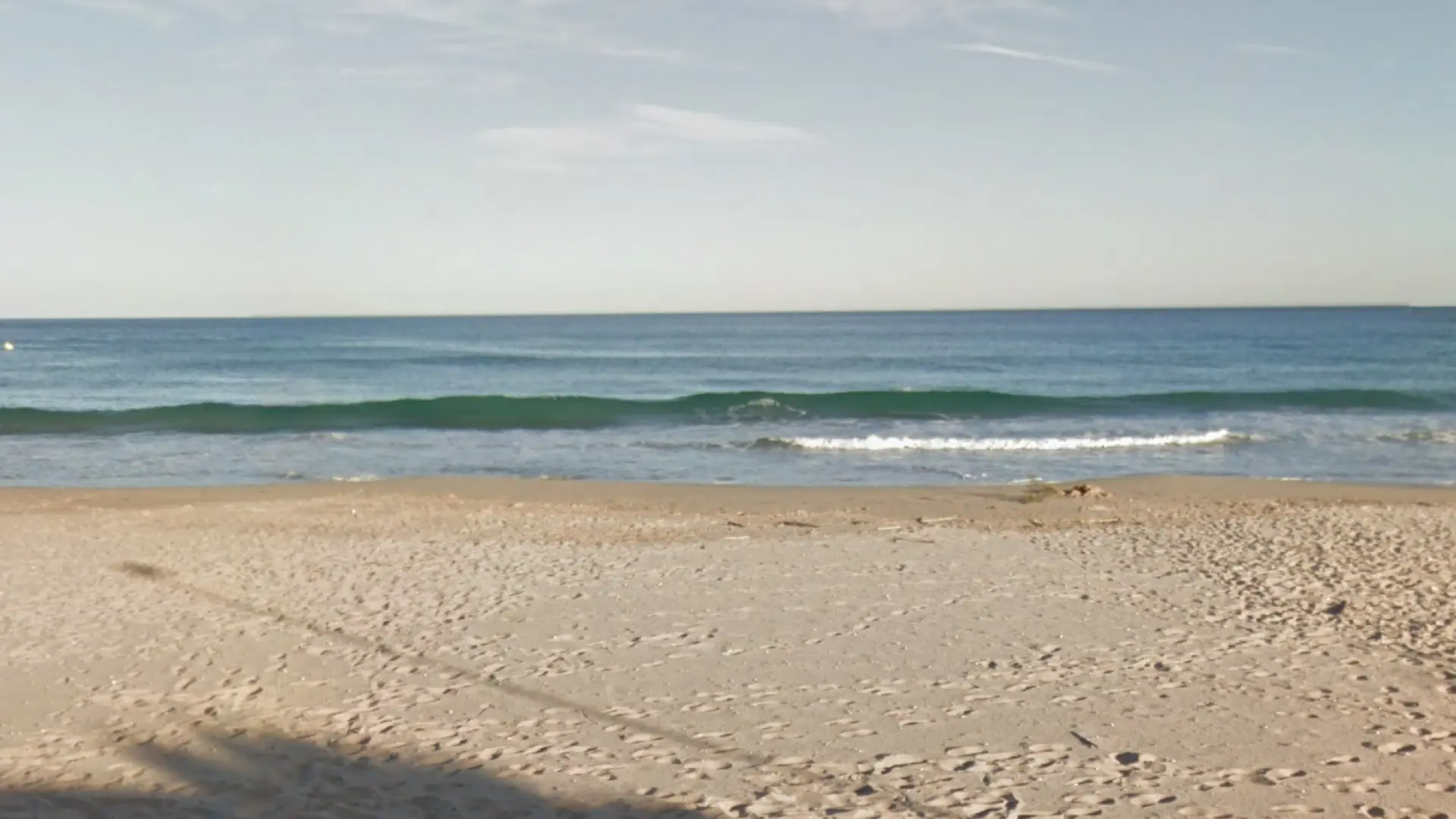 Hallan muerto un cetáceo en una playa de Tarragona