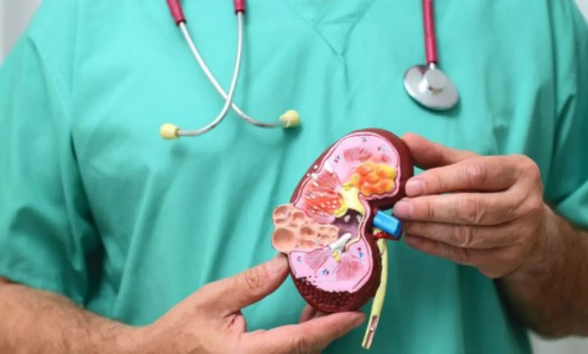 Cáncer de riñón, una enfermedad silenciosa que causa más de 2.300 muertes al año en Argentina