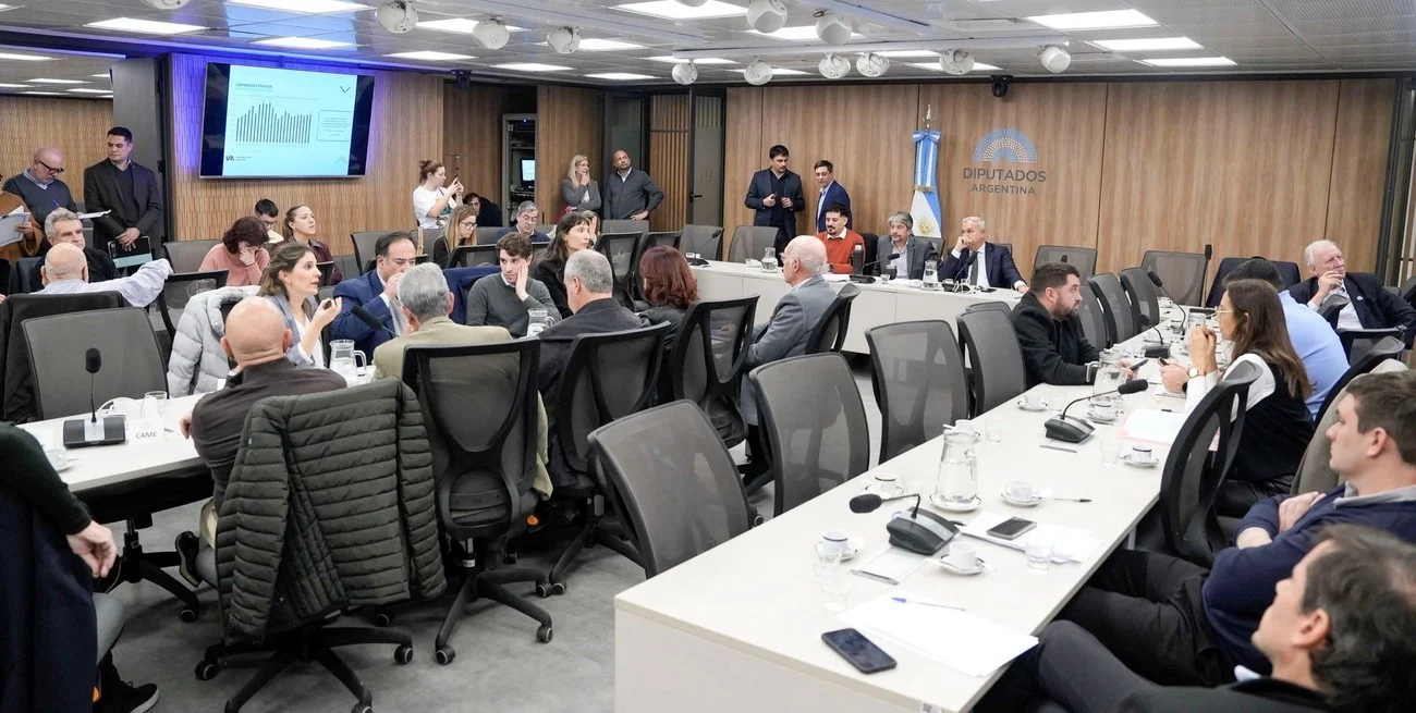 "La cancha está inclinada": la industria puso números en el Congreso al costo de la apertura