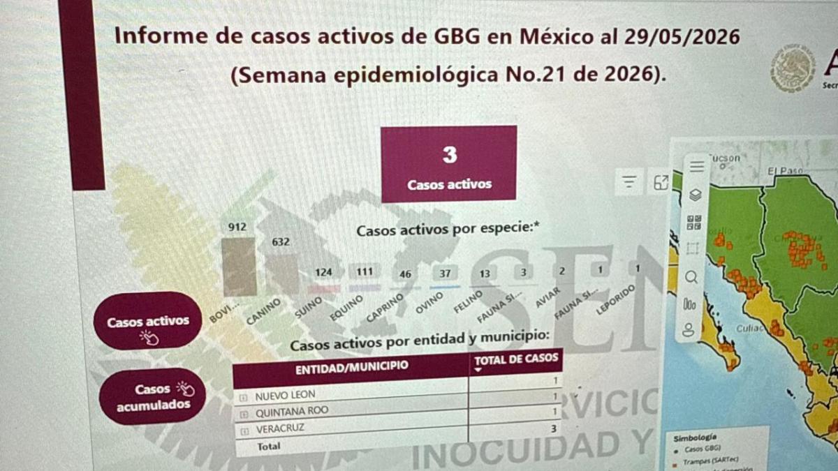 Gusano barrenador: Nuevo León reporta primer caso en fauna silvestre
