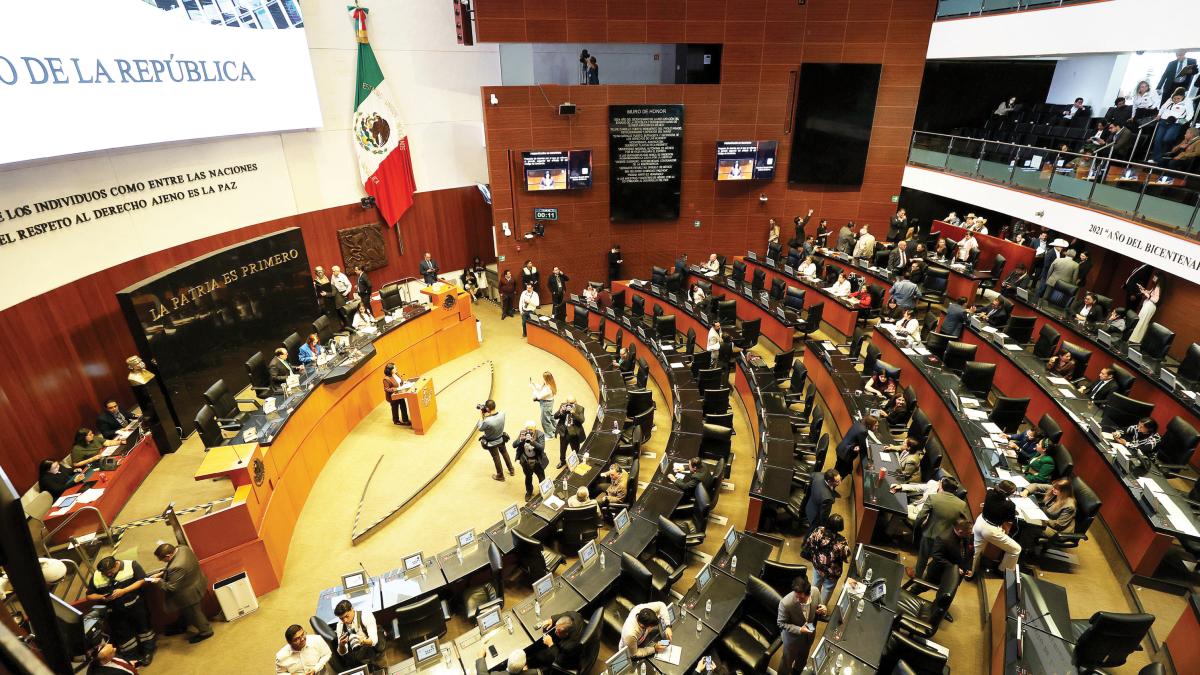 Senado va por blindar la salud sexual adolescente; priorizará uso de anticonceptivos