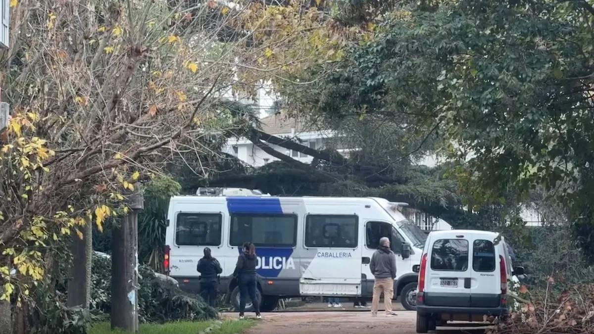 Investigan las causas de la muerte del Indio Solari: el cuerpo del músico estaba al lado de la pileta y fue hallado por una empleada
