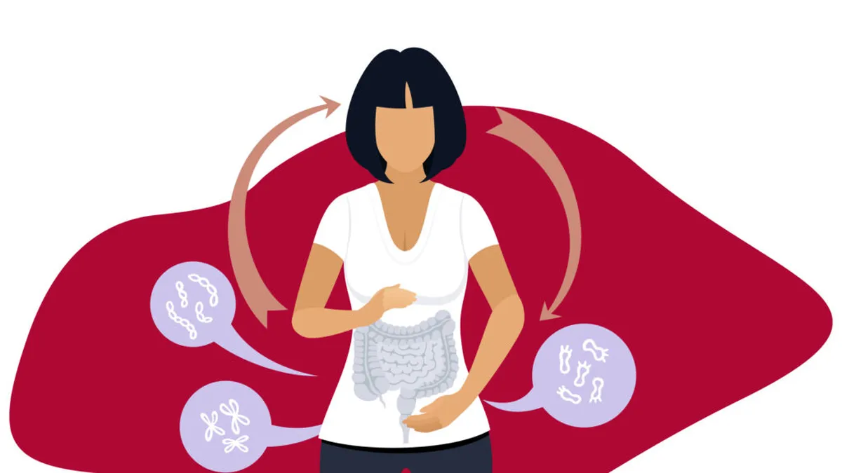 Eje intestino-piel: cómo la salud intestinal influye en la piel, el ánimo y el bienestar general