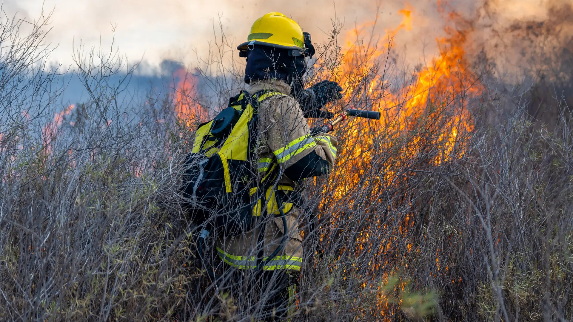Los ingenieros forestales advierten del riesgo de incendios durante el eclipse solar de agosto