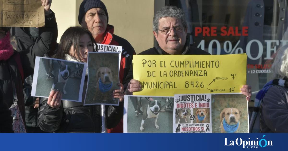 Proteccionistas piden justicia por Indio y Bigotes, dos perros que murieron en el Corralón Municipal