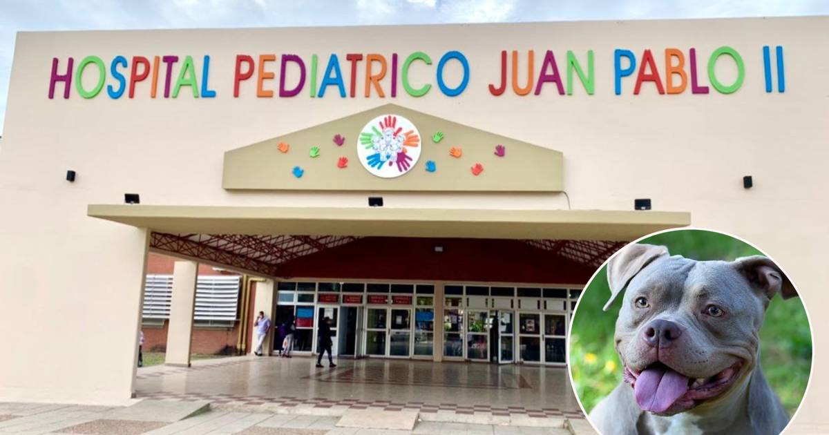 Esquina: una nena de 5 años sufrió graves heridas en el rostro tras el ataque de un pitbull