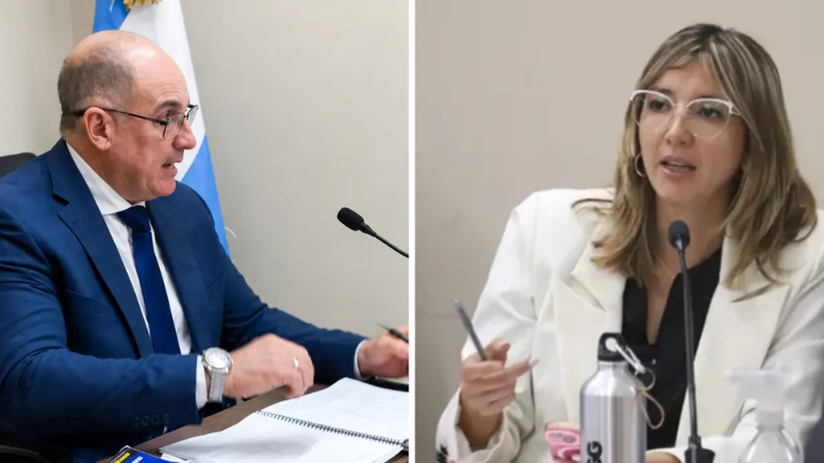 La pelea judicial entre Diego Sanz y Claudia Salica la definirá un juez de impugnación