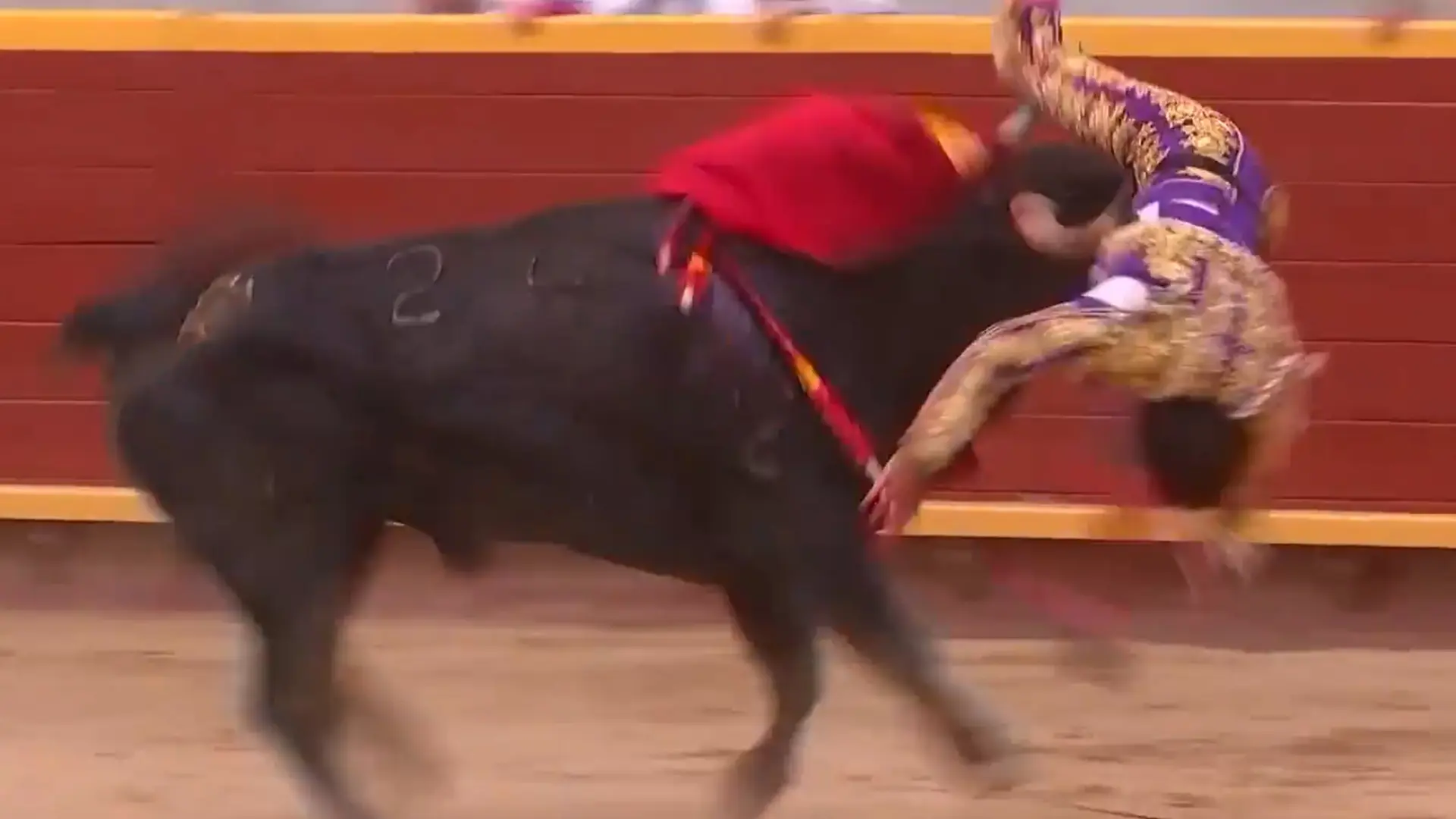 El torero Tomás Angulo, herido "muy grave" tras una cogida en Moralzarzal