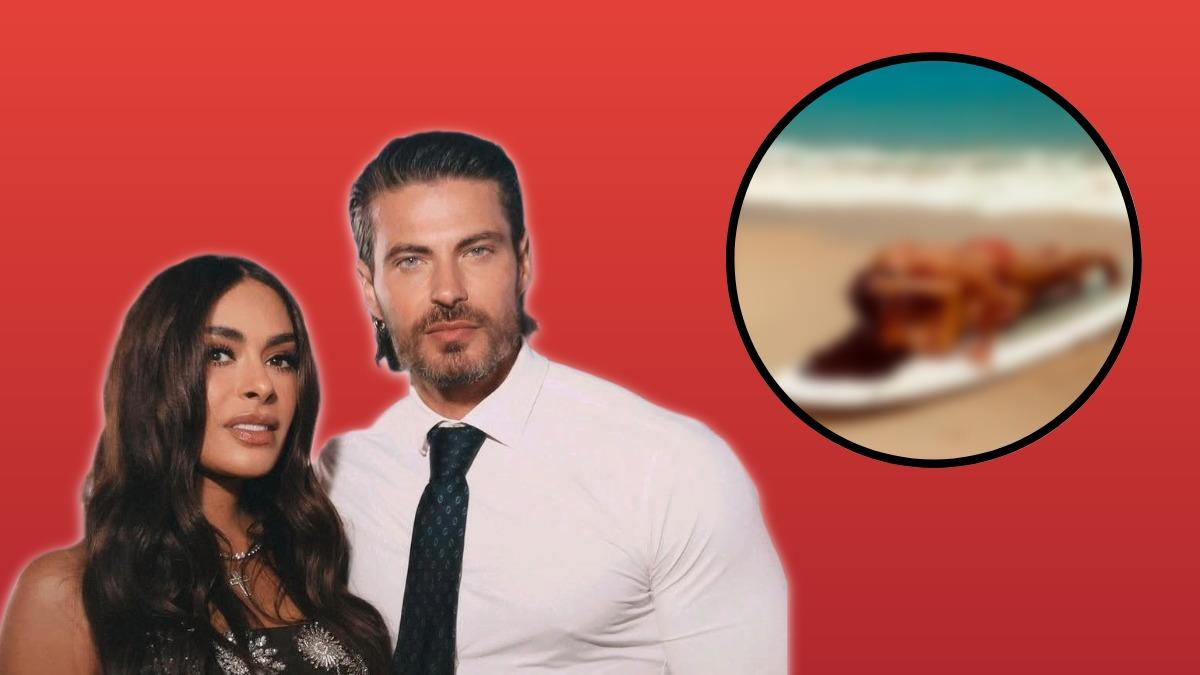 El video de Galilea Montijo con su novio que encendió las redes