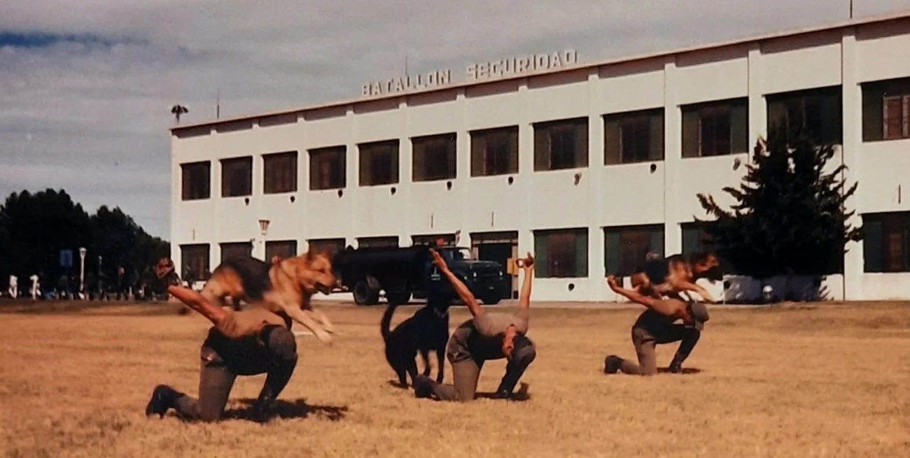 Un recorrido por la Gesta de Malvinas y el rol de los Perros de Guerra de la Armada Argentina