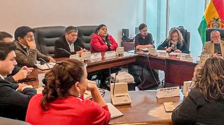 Convocan a comisión de Constitución de Diputados para tratar ley que regula el Estado de excepción