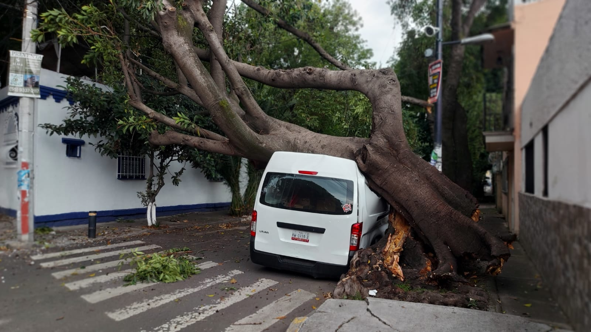 Lluvias y fuertes vientos derriban árboles sobre vehículos en CDMX