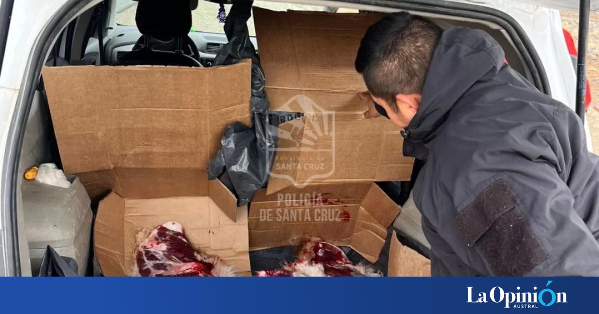 Cazadores furtivos fueron interceptados en la Cuesta de Míguez con un guanaco faenado