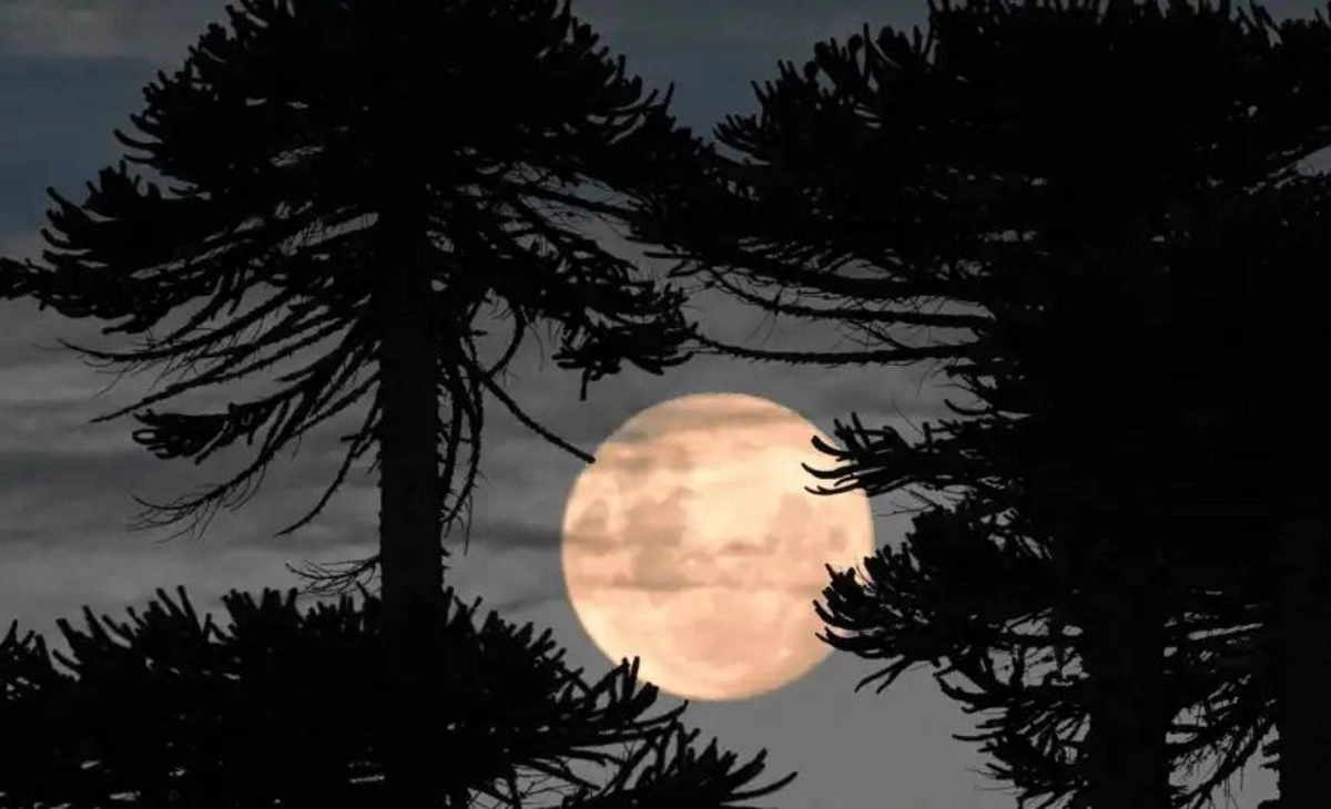 La Patagonia será testigo privilegiada de la "Luna de Fresa"