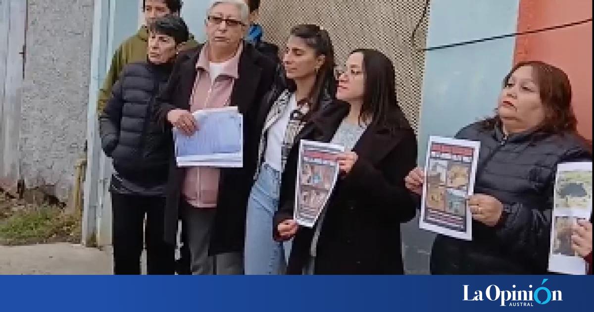 Jauría en Virgen del Valle: vecinos fueron a Control Animal y advirtieron que "hoy son animales, mañana pueden ser personas"