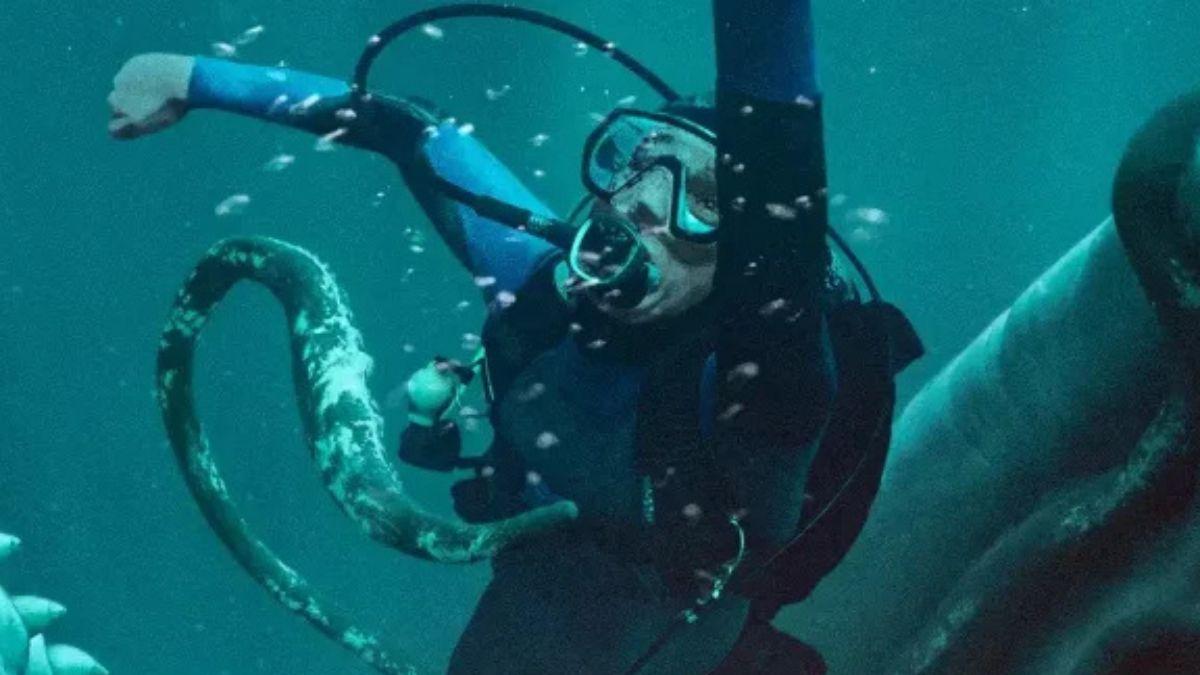 Whalefall: Tráiler, de qué trata y fecha de estreno en cines y Disney Plus
