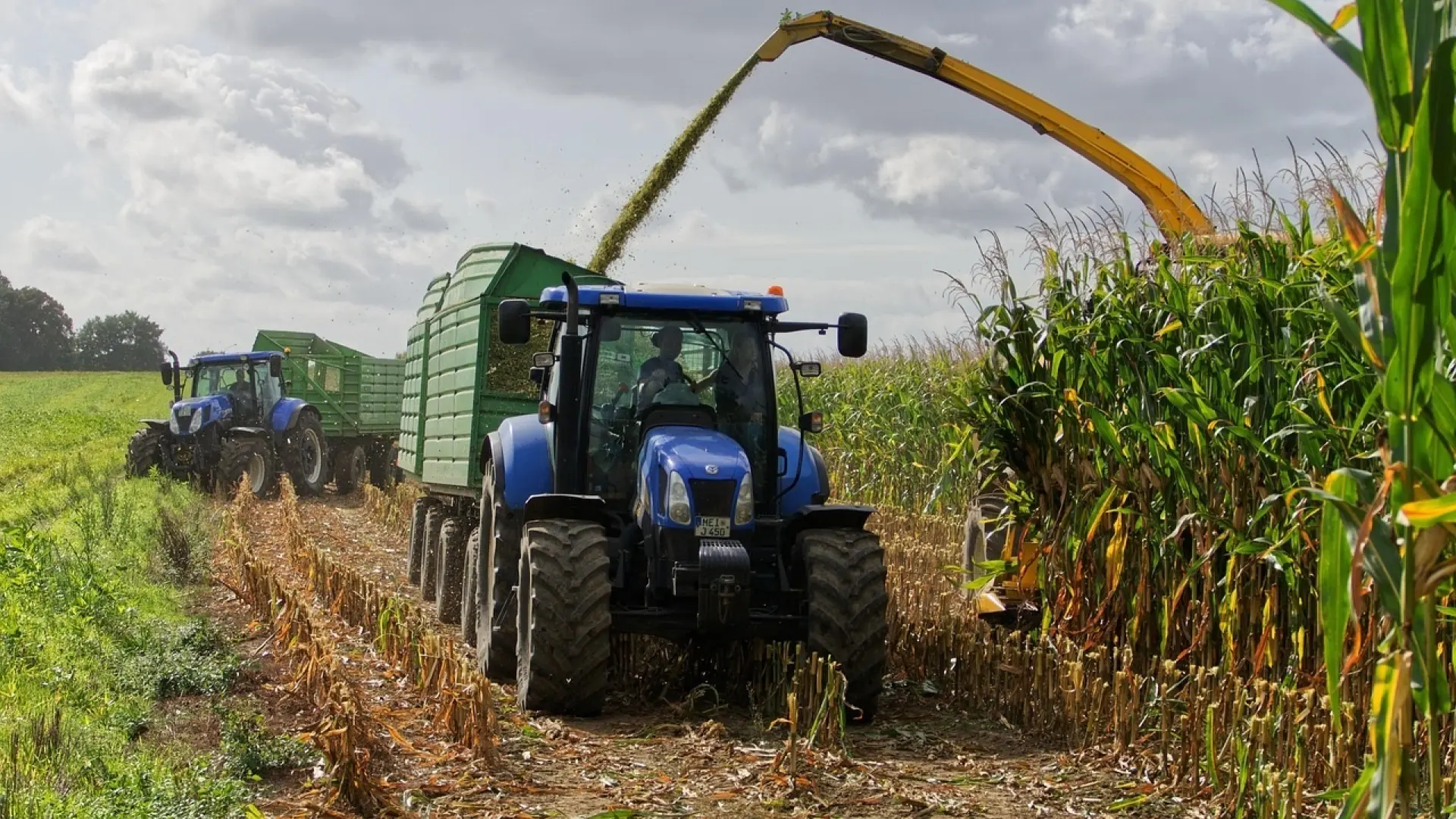 El 'efecto dominó' de los fertilizantes: la crisis alimentaria que espera si el cierre de Ormuz se dilata