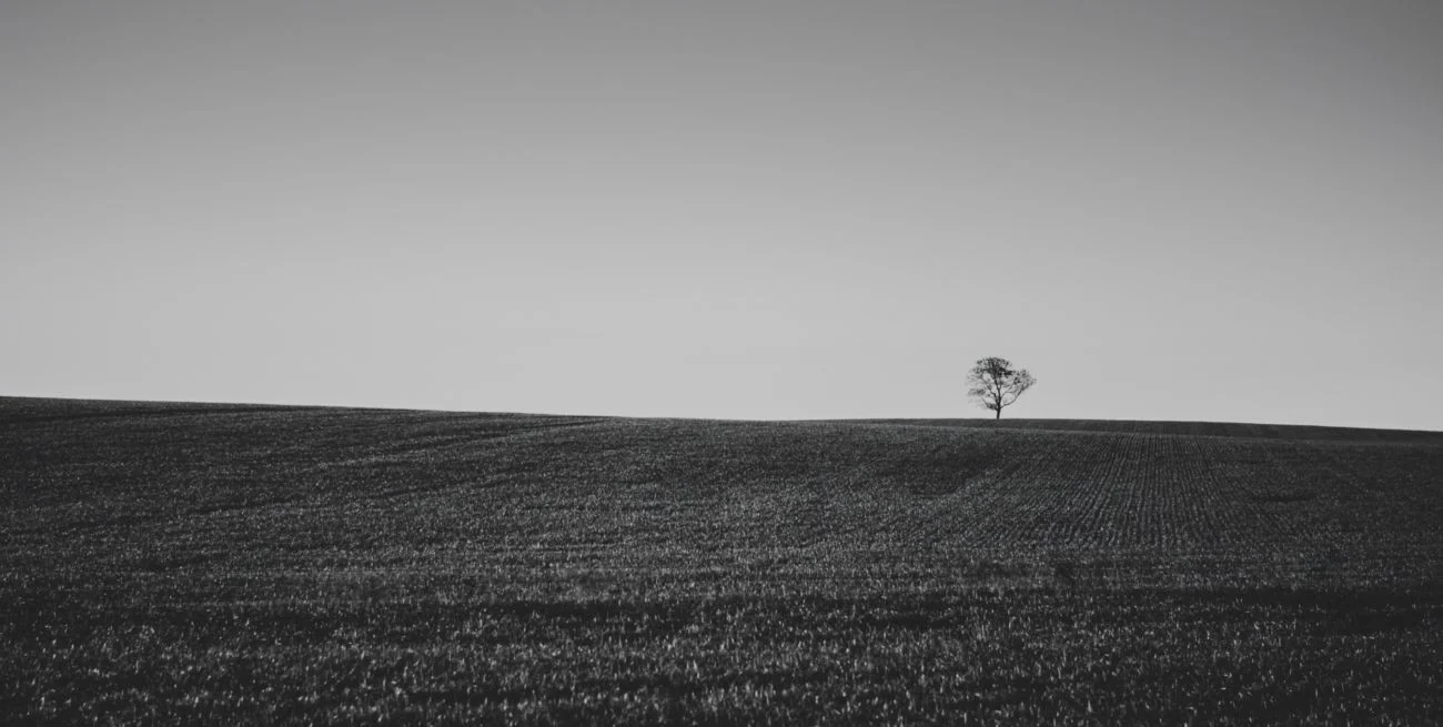 "Miradas reveladas: la naturaleza expuesta"
