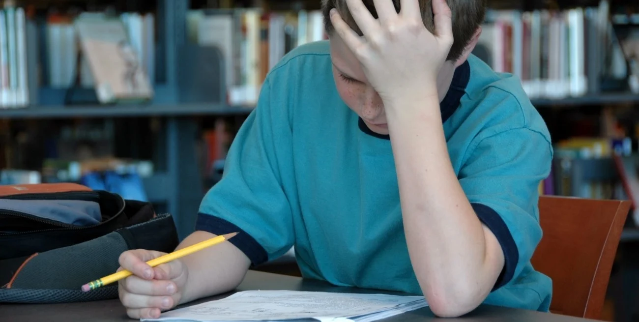 ¿Tu hijo tiene dificultades para aprender? el entorno donde crece podría influir más en su cerebro que el coeficiente intelectual