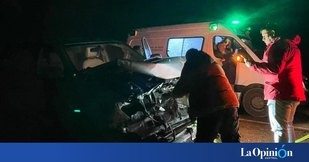 Policías de Santa Cruz chocaron contra un guanaco en la ruta camino a El Calafate