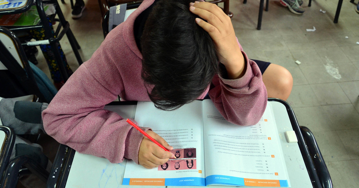 Pruebas Aprender: el Gobierno afirma que la mejora en Lengua es la mayor en una década