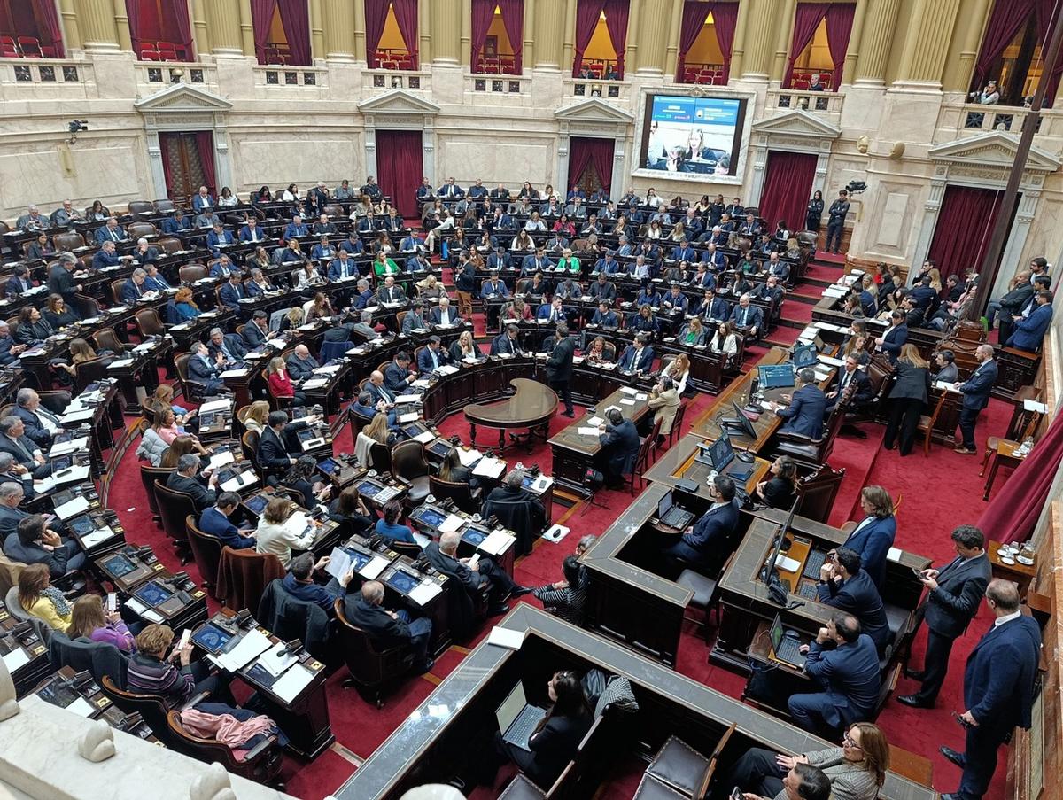 Diputados debate el Súper RIGI y el pago a los acreedores del default de 2001