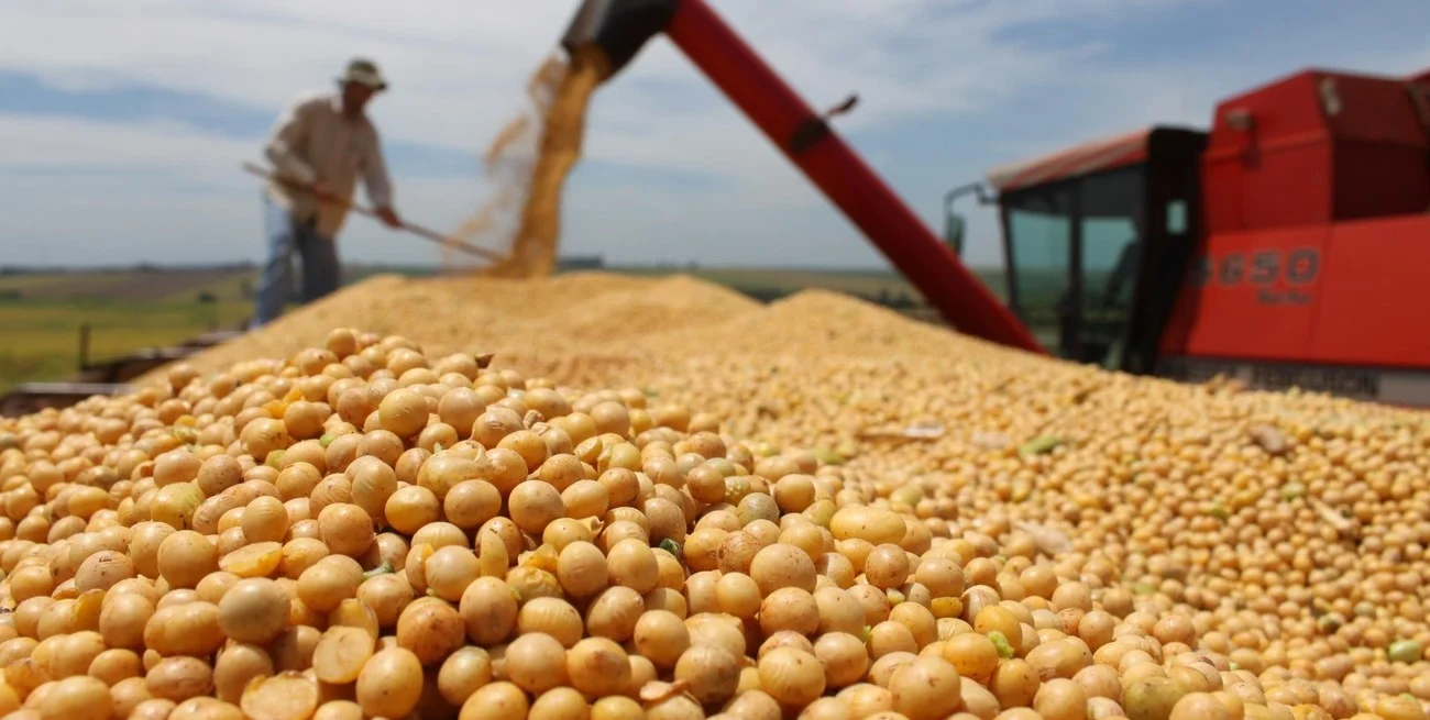Los agroexportadores liquidaron casi U$S 2.700 millones en mayo