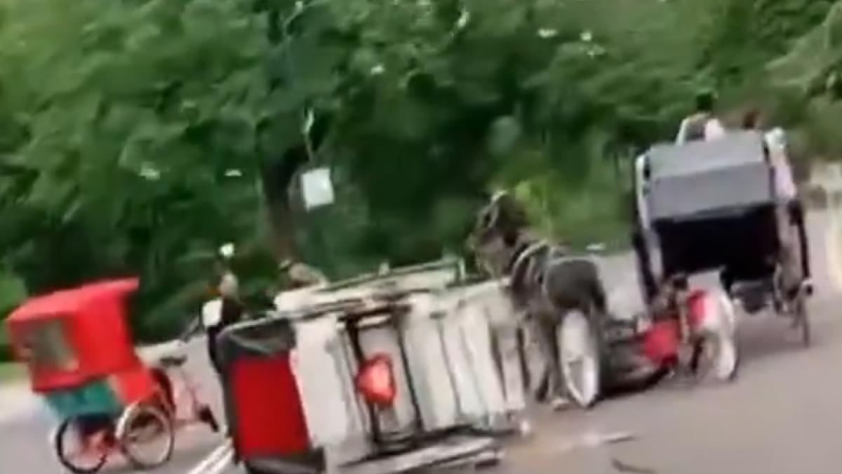 Joven muere en accidente de carruajes de caballos en Central Park; alcanzó a salvar a su madre