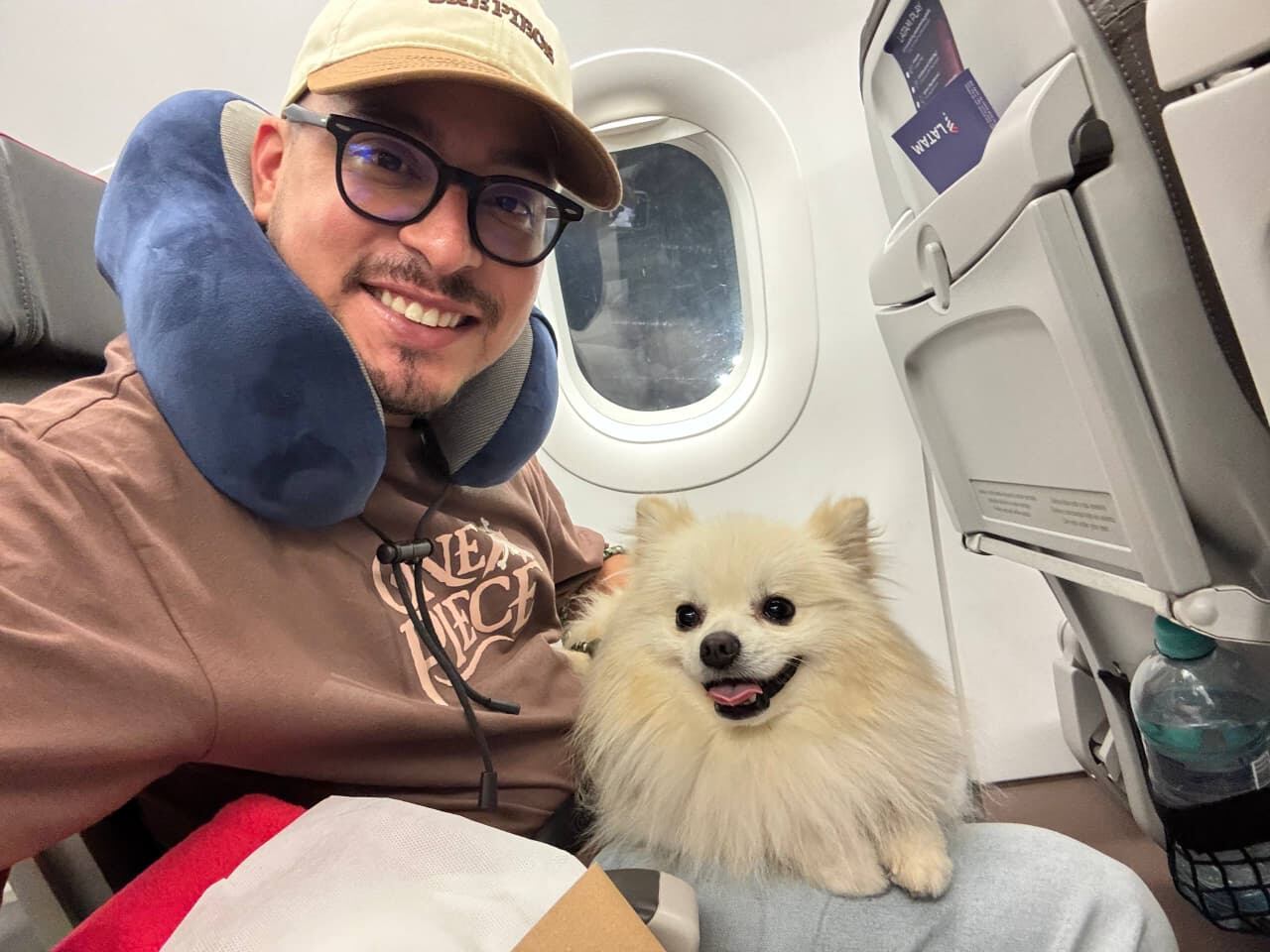 ¿Viajarás con tu mascota en avión? La guía con todo lo que debes saber desde antes de abordar el avión