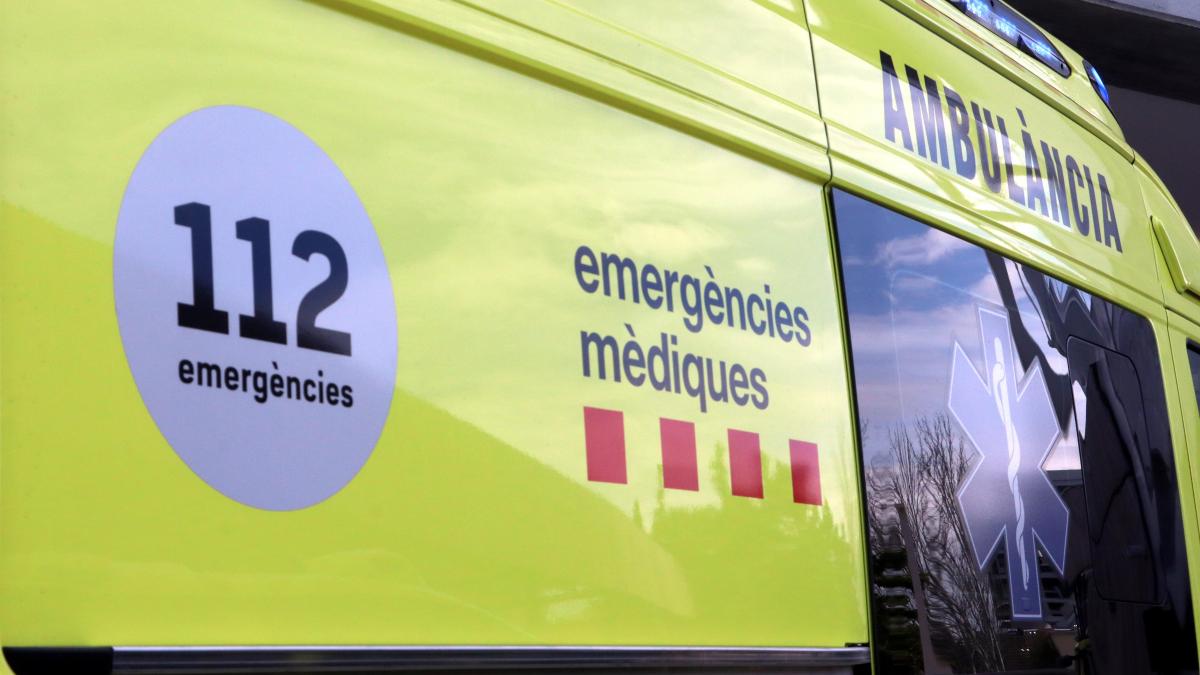 Detenidos cuatro ocupas en Lleida por agredir a vecinos con hachas, palos y armas blancas