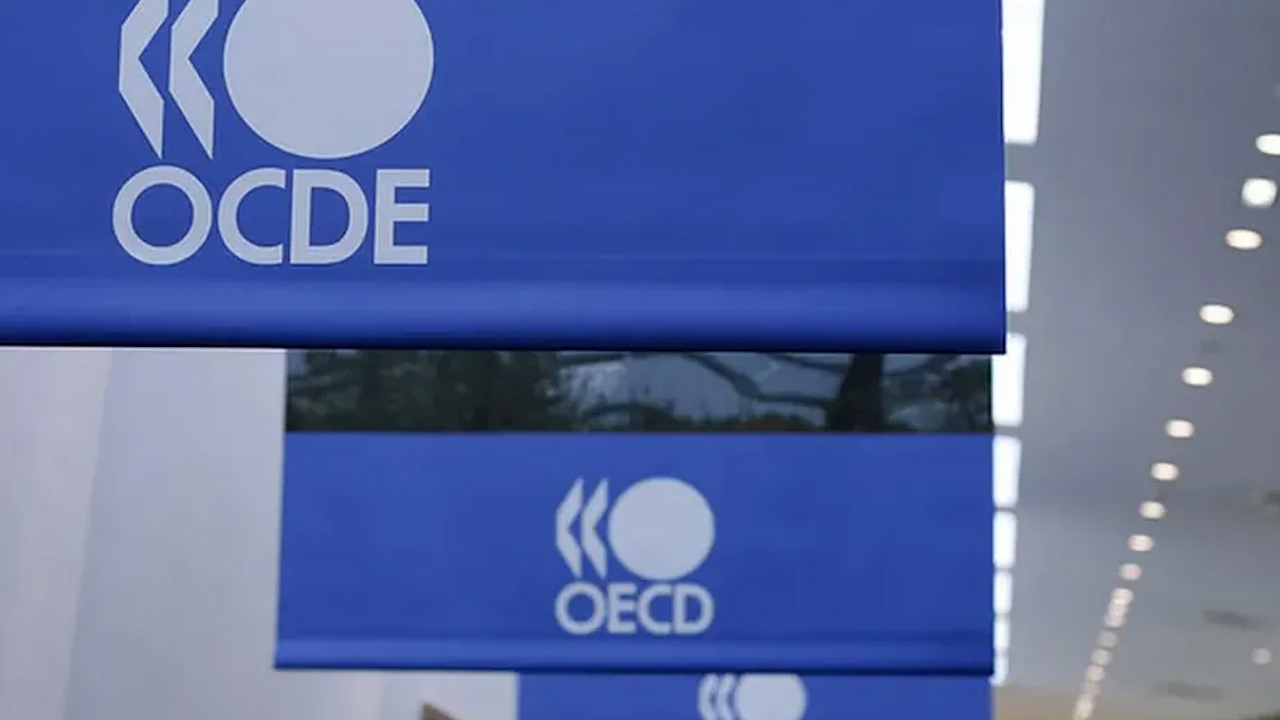 OCDE revela el apoyo masivo de China a su industria
